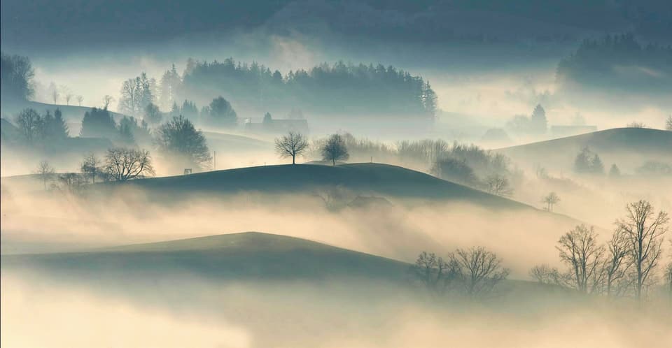 Fog lying in the low ground between hills, with bare trees