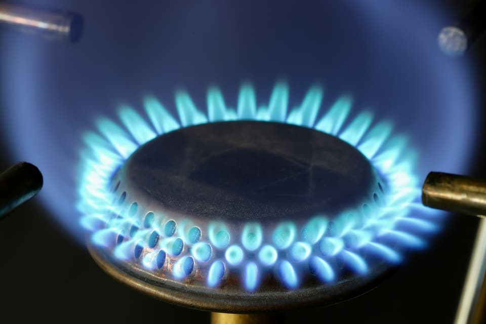 A ring of blue gas flame on a stove burner